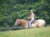 http://www.echolakestables.com/images/thumbnails/2007summer12_small.jpg