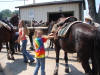 http://www.echolakestables.com/images/thumbnails/2007summer15_small.jpg