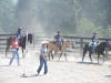 http://www.echolakestables.com/images/thumbnails/2007summer17_small.jpg