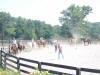 http://www.echolakestables.com/images/thumbnails/2007summer18_small.jpg