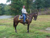 http://www.echolakestables.com/images/thumbnails/DSC01241_small.jpg