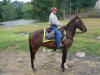 http://www.echolakestables.com/images/thumbnails/DSC01243_small.jpg