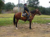 http://www.echolakestables.com/images/thumbnails/DSC01258_small.jpg