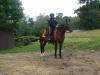 http://www.echolakestables.com/images/thumbnails/DSC01259_small.jpg