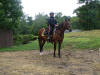 http://www.echolakestables.com/images/thumbnails/DSC01260_small.jpg